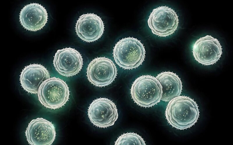 Study counts energy cost of bacterial hibernation