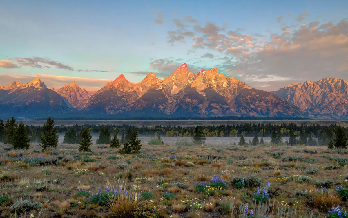 Grand Teton National Park scouted as possible site for a Major League Baseball game
