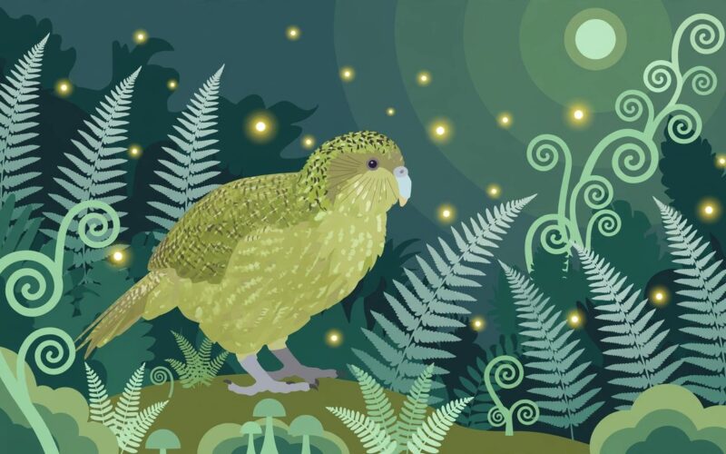 Editorial illustration of a kakapo parrot in a New Zealand forest with rising population chart motif