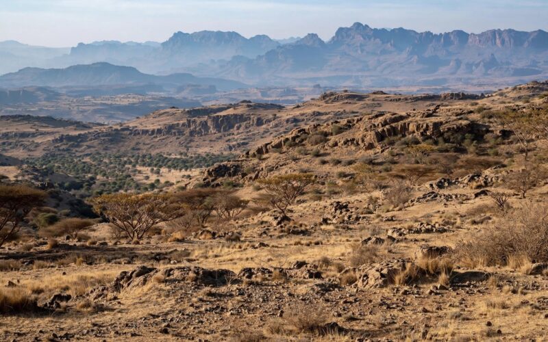 Fighting resumes in Tigray as rebels capture Erebti