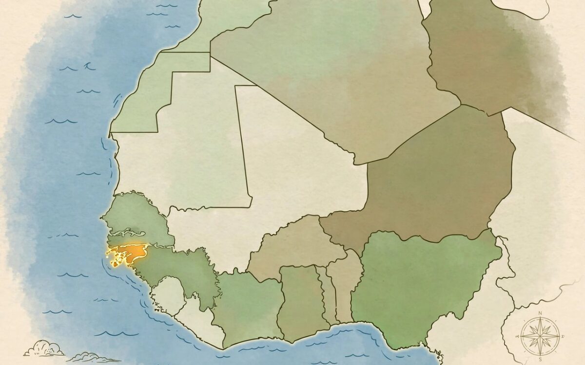 Why Guinea-Bissau's elections were delayed - explained