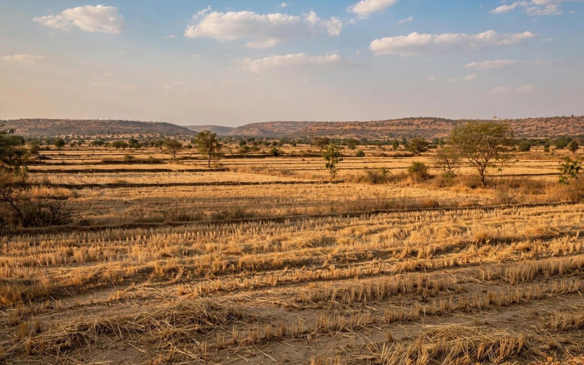 IMD's October Weather Outlook for India, Explained