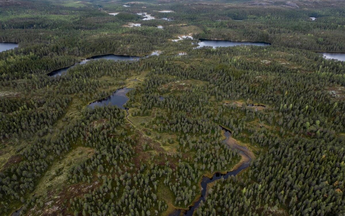 Palantir CEO Alex Karp buys 37,000 acres of Swedish forest