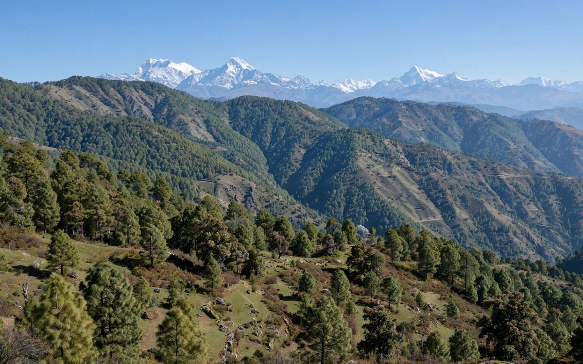 Uttarakhand Voter Roll Down 8 Lakh After SIR